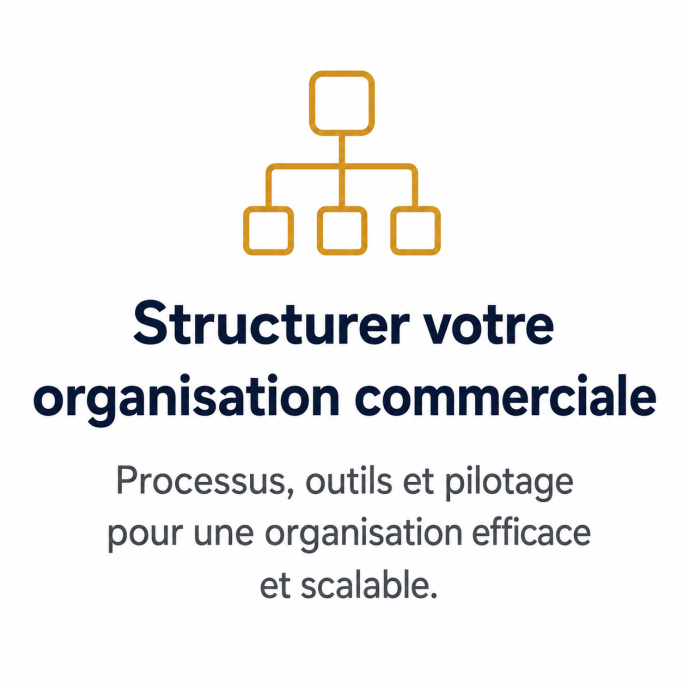 Pictogramme organigramme représentant la structuration de l’organisation commerciale, des processus, des outils et du pilotage
