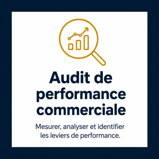 Pictogramme d’audit commercial représentant l’analyse de la performance et l’identification des leviers de croissance